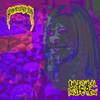 Olivia Neutered John : Urethral Acid Injection